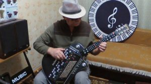 Серебрянные Гитары  (Гитара+гармошка) ГИТАРАМОШКА