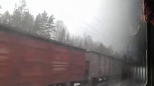 Перегон Новый Поселок-Кяппесельга из окна поезда №92 Москва-Мурманск.