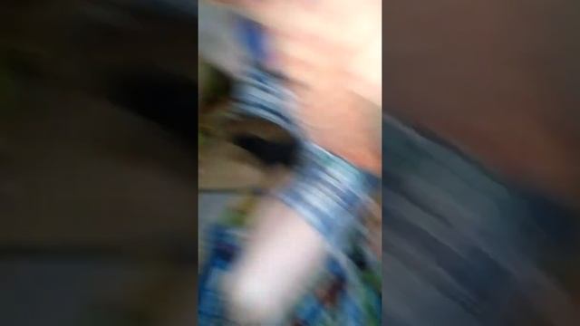 Сказка прикол смотреть онлайн