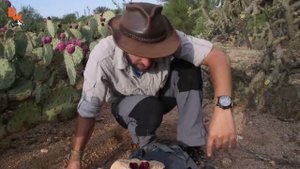 СОК ДЛЯ ЗОМБИ / Койот Питерсон на русском