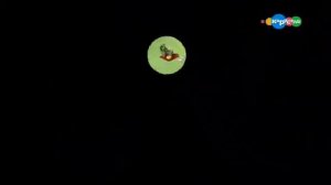 Бобби и билл 3 4