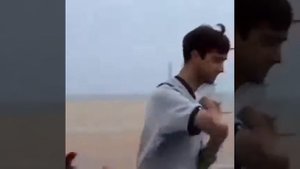 Подсыпали чайкам слабительное на пляже