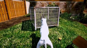 SAHİBİ YAVRU PİTBULL'A EZİYET EDİYOR VE AMCASI YARDIM EDİYOR! - GTA 5