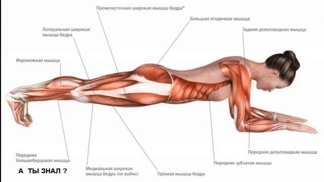 Всего ОДНО УПРАЖНЕНИЕ заменит вам поход в спортзал , 3 минуты в день и ваша фигура идеальна смотреть онлайн