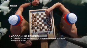 Моржи сыграли в шахматы