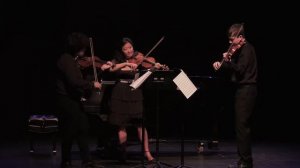 Capriccio for Three Violins Op 2 by Friedrich Hermann