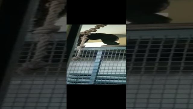 Наша родня
