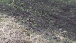 Я копаюсь на помойке как червяк...