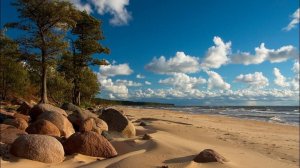 Идем пешком на пляж Сокольники _15 мин #домуморя #балтийскийберег #кпсокольники #калининград