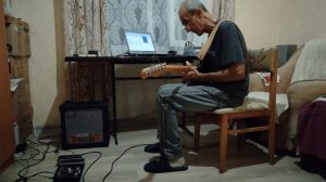 ОДНА СНЕЖИНКА.,ещё не снег....(Нина Бродская)