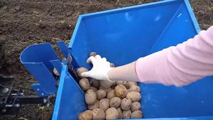 посадка картофеля минитрактором и картофелесажалкой