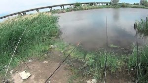 Что ловится на Кривянском "Байкале", сбросном канале рыбхоза и Матвеевском мосту через Аксай.