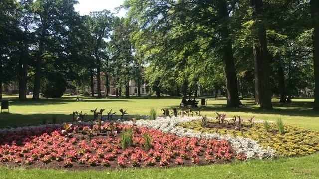 Oranje park | Apeldoorn City Park || Merbel The Explorer смотреть онлайн