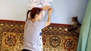 Cats Vlog. Кот дерет обои. Кошка лезет на стену. Коты ждуны.