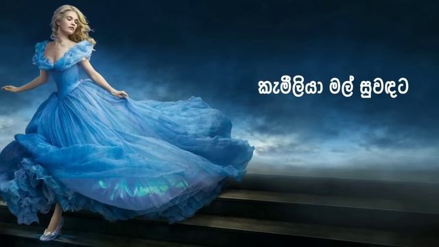 kamelia mal suwandata(කැමීලියා මල්..) - Dhanith Sri [lyrics] смотреть онлайн