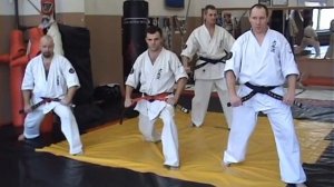 Аси-вадза. Хидза гери. Мае гери