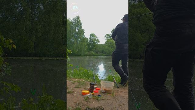 уловистая снасть