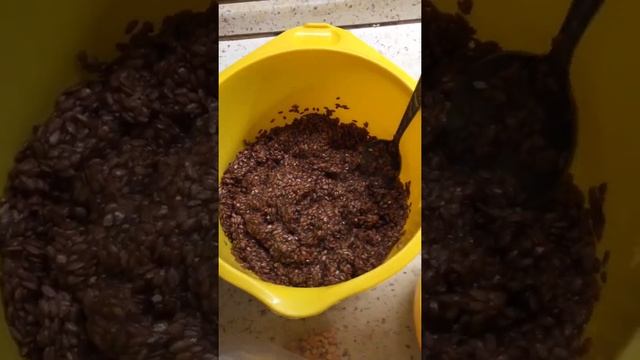 Чипсы (флаксы) из льна с томатами и зеленью!