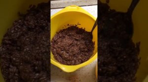 Чипсы (флаксы) из льна с томатами и зеленью!