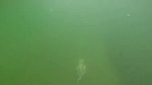 Оймякон. Озеро Лабынкыр