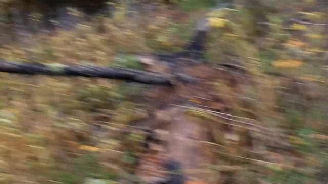 В ПОИСКАХ НОВЫХ МЕСТ / ТАЁЖНЫЙ РУЧЕЙ / РЫБАЛКА