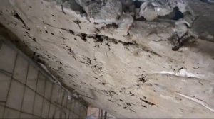 Обзор бетонной лестницы/Подготовка к штукатурке стен подвала.