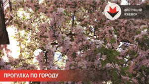 Прогулка по весеннему Ижевску