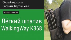 Легкий штатив WalkingWay K368