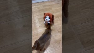 Устранение конкурента