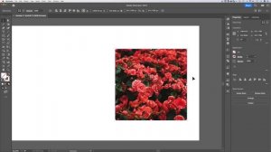 How to Resize Images in Illustrator