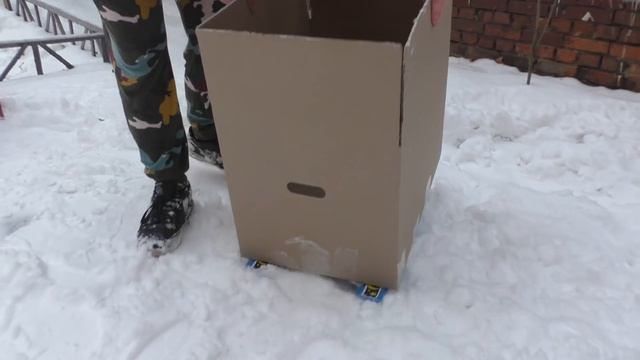 ДЕЛАЕМ КАРТОННЫЕ САНИ ДЛЯ КОТА КЕВИНА И БИЛЛИ смотреть онлайн