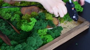 Картина из мха | Эко декор