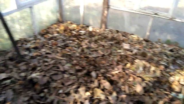 ГОТОВИМ ТЕПЛИЦУ К СЛЕДУЮЩЕМУ СЕЗОНУ !!! смотреть онлайн