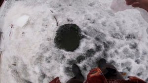 РЫБАЛКА НА ХАПУГУ. ЛОВ ЩУКИ НА ХАПУГУ ХЛОПОК.