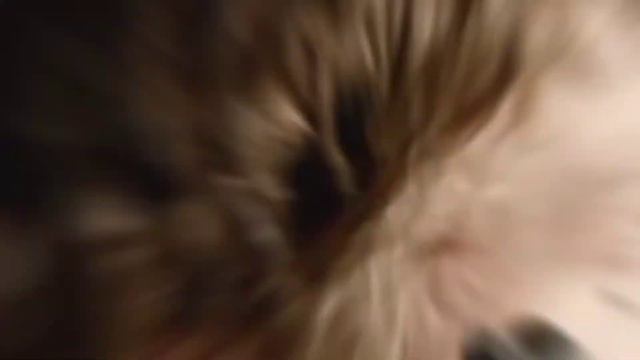 БЕСЫ Ставрооин и Верховенский - Сияй смотреть онлайн