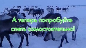 КАРАОКЕ НА НЕНЕЦКОМ: «Колокольчик»