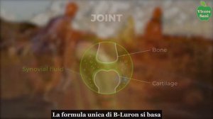 B Luron   ARTICOLAZIONI   Complesso di Acido Ialuronico e Condroitina   Vivere Sani Official