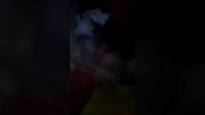 Как почистить пылесос elenberg