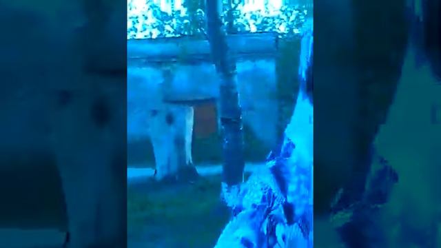 Девочка танцует подпесню скр скр смотреть онлайн