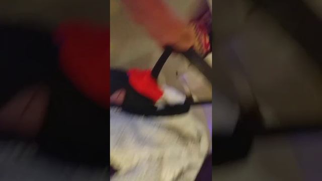 Джек Рассел терьер Герда Матильда и прыгающий светящийся мяч)))смешно смотреть онлайн