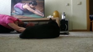 КОТИК занимается йогой