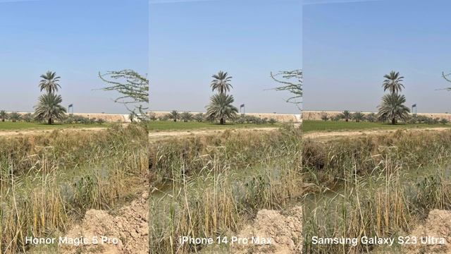 Honor Magic 5 Pro vs iPhone 14 Pro Max vs Samsung Galaxy S23 Ultra Camera Test смотреть онлайн