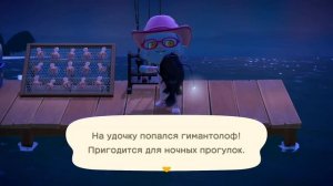 Все рыбы Ноября в игре Animal Crossing: New Horizons (0+)