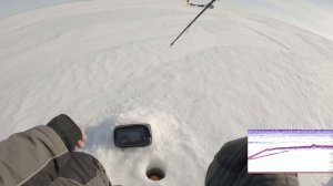 Ловля сига зимой. Налим на стук. Рыбалка в Карелии 2021