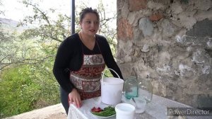 ՍԽՏՈՐԻ Թթու - Համեղ և Օգտակար - Квашеный ЧЕСНОК - Очень ВКУСНО и ПОЛЕЗНО - Շամշադինի Համը - ШАМШАДИ