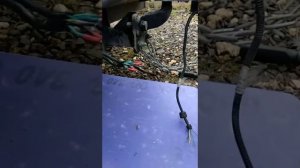 Розетка на прицеп.