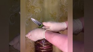 А Вы знаете как реанимировать гортензию дома?