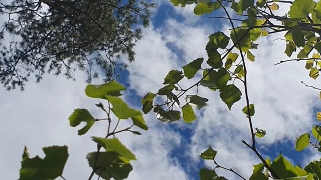 Плывут по небу облака смотреть онлайн