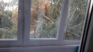 Как мыть окна без разводов. Как мыть стекла до блеска.