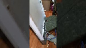 Beko  dis5830 не греет воду.
